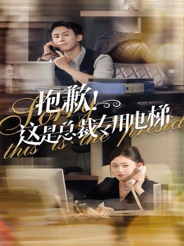 抱歉这是总裁专用电梯第34集