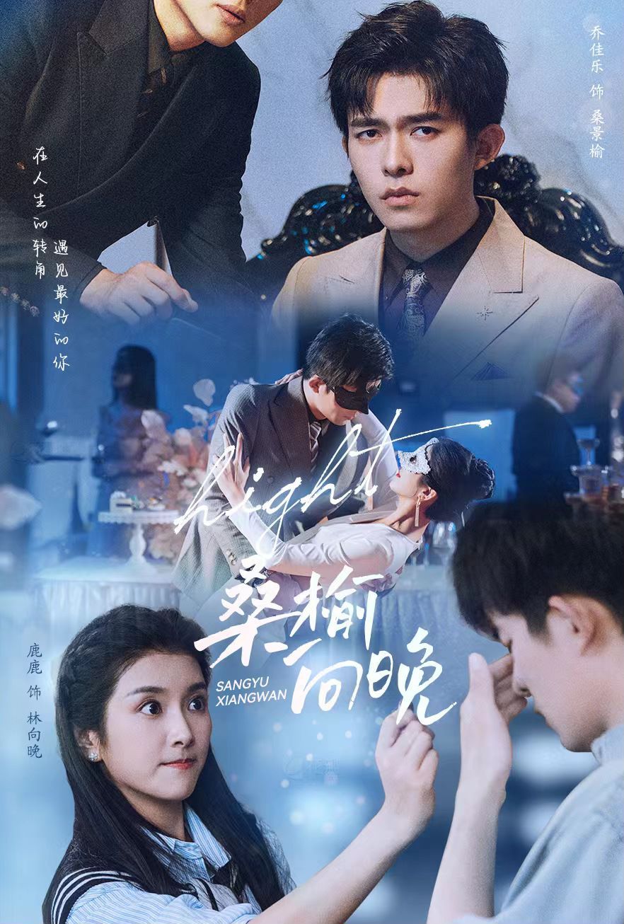 桑榆向晚第03集