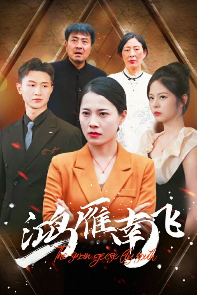 鸿雁南飞第58集