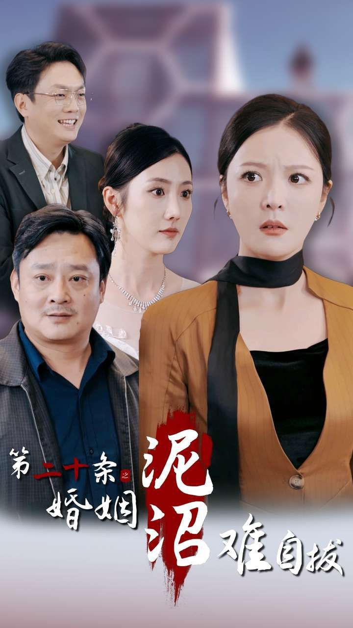 第二十条之婚姻沼泽难自拔第04集