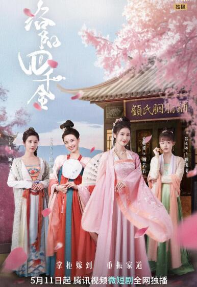 洛阳四千金第26集
