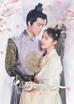 神探驸马请接嫁第28集